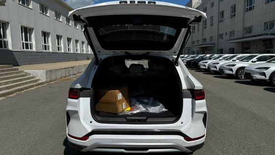 2023 Byd E2 EV Car Luxury Edition 純電気自動車 白色と左方向車