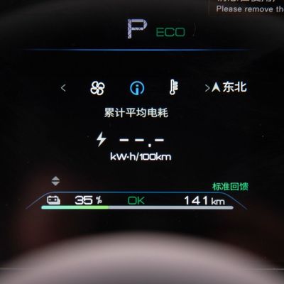 2023 EV Byd E2 ルックスエディション 純電気自動車 中古車/EV車,閉ざされた車体タイプ