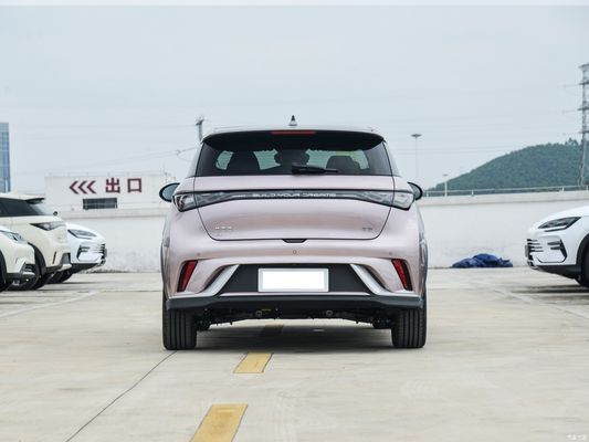 2024 Byd Dolphin EV Honor Editon 401 Knight バージョン 左方向車
