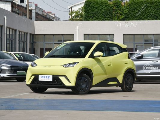 カー 電気自動車 EV Byd シグール 2023 バイタリティ バージョン