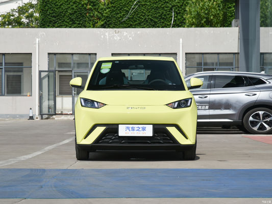 カー 電気自動車 EV Byd シグール 2023 バイタリティ バージョン