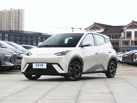 4人座電動車 バイド シガール 2023 自由 個別要求のためのカスタマイズ