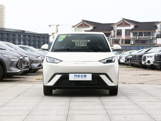 4人座電動車 バイド シガール 2023 自由 個別要求のためのカスタマイズ