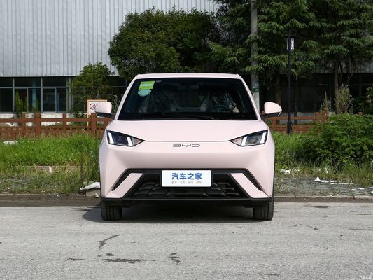 電気ハッチバックカー バイド シガール 2023 フライ オンライン/ローカル アフターセールスサービス