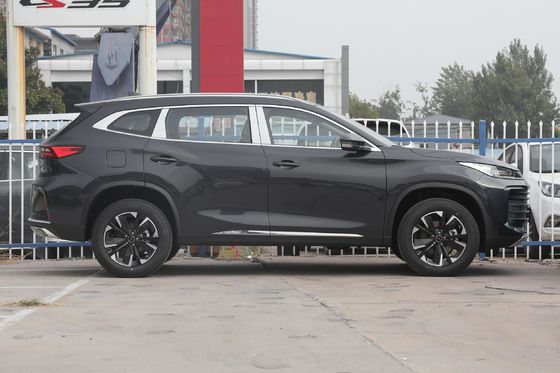 Exeed 2023 300t 2WD マクフェルソン独立式懸垂と閉ざされた車体タイプ