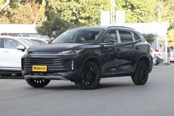 カスタマイズされた要求 2023 Exeed 300t 2WD Exeed 閉ざされたボディタイプとカスタマイズ
