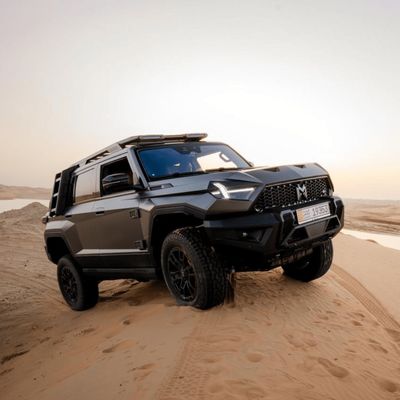 耐久性高い東フェン Mhero 917 電動車 SUV ハイブリッド エクステンデッドレンジ 車 中古車 EV