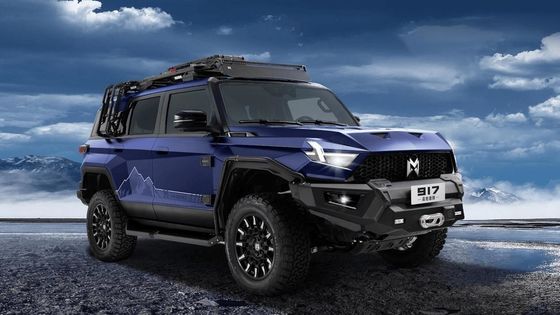 SUVボディスタイル Mhero 917 電動車 電気SUV 2024 オート大型ミニスマート 中古電気EV車