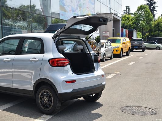 純電動マイクロカー EV Leap T03 2023 310 フェンシアン 電動車 車椅子 4