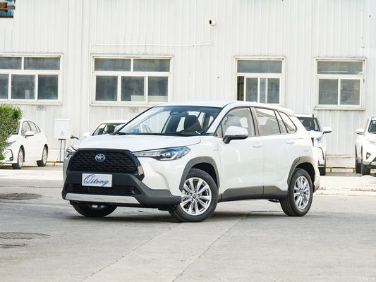 2023年版パイオニア 2.0L 双エンジンのSUV,カスタマイズオプションと左方向車