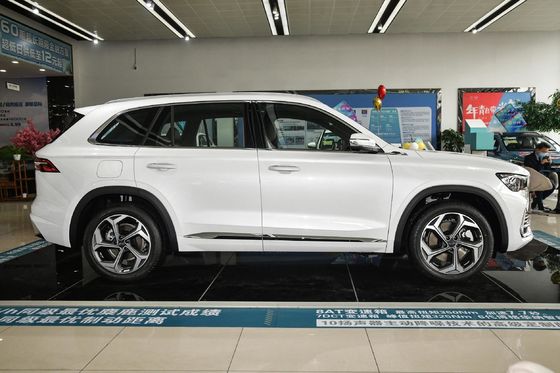 ジリー・モンジャロ・シンギュエ L 2021 2.0td DCT Evo 2WD コンフォート