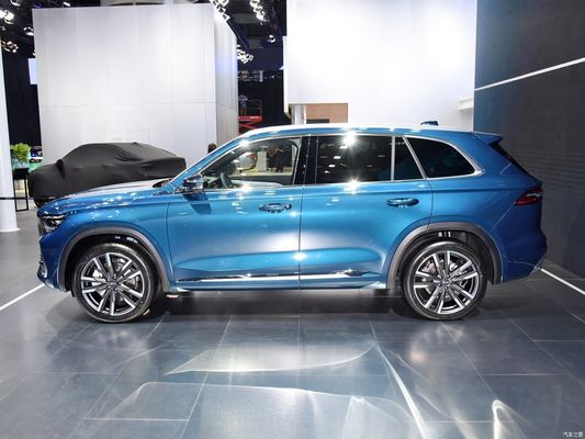 ガソリン2.0td パワー 四輪駆動SUV カスタマイズとカスタマイズ要求