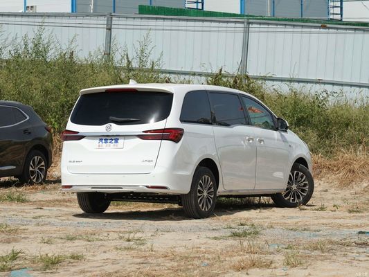 2023 バイック GL8 ランド ビジネスキャビン ルックス版 満足度向上のカスタマイズ