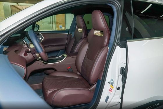 2023 アバター 11 超長寿 シングルモーター バージョン 5 シート P0000040 SUV 長寿
