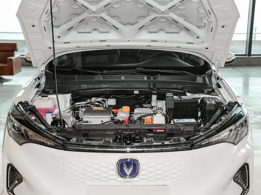 自動車 電力 自動車 チャンガン イアド EV460 販売後サービス オンライン/現地