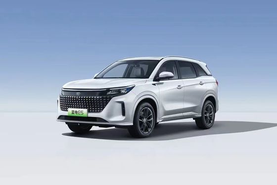 ランディアン E5 2024 オーナー エディション 100km オートマティック 高級 5人乗り オンラインサービス