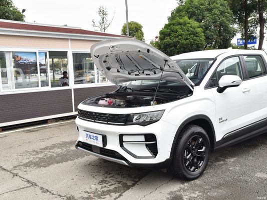 電気自動車ピックアップレーダー Rd6 2023 410km チュアンイエ オンライン 販売後サービス