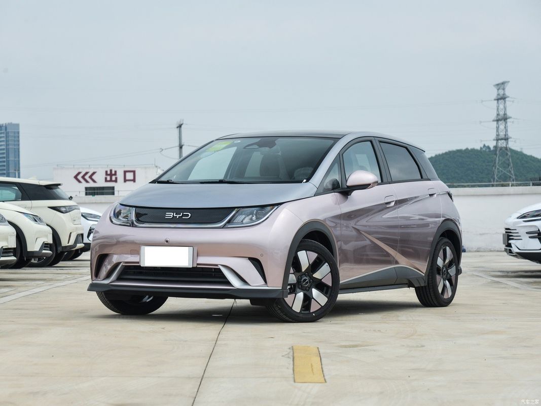 2024 Byd Dolphin EV Honor Editon 401 Knight バージョン 左方向車