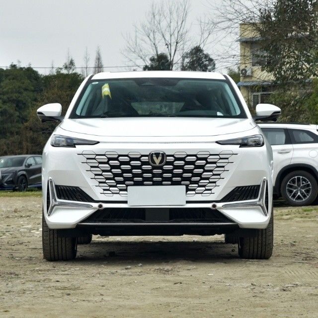 最大満載重量 2220kg SUV 2023 2.0t 双駆ジョイカラーモデル チャンガンユニ-K