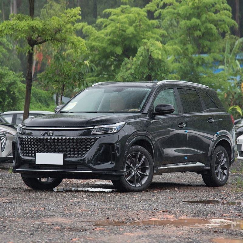 プレスティージ 5/7 シート Landian E5 Glory Edition 2024 プラグインハイブリッドSUV 100km走行距離