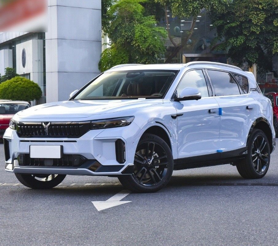 4905×1950×1645 座席 5 超長距離エネルギー電気SUV 車 ヴォヤフリー2024