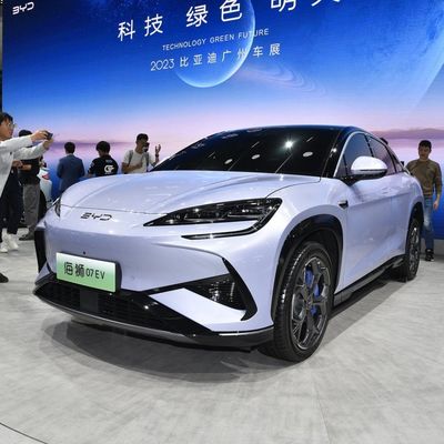 バイドシーライオン 2024 550 四輪駆動 スマート航空版 閉ざされた車体型 電気自動車